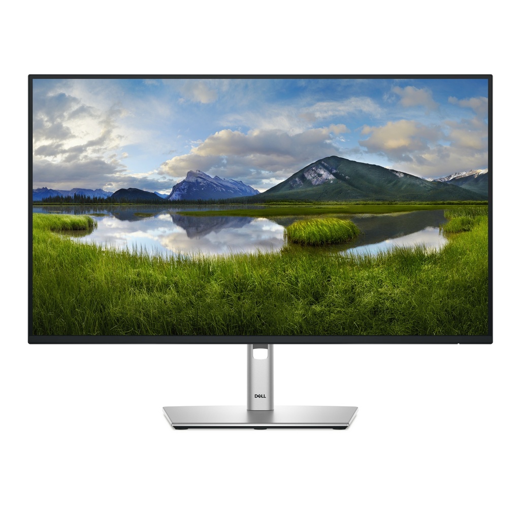 [MT005DEL84] Dell P2725H - LCD monitor - 27" - 1920 x 1080 - IPS - DisplayPort / HDMI / VGA / USB