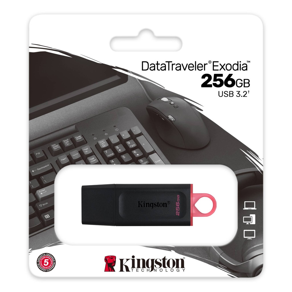 Kingston DataTraveler Exodia - Unidad flash USB - 256 GB - USB 3.2 Gen 1 - negro/rosa