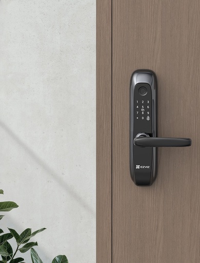 [CS-L2S-11FCP] EZVIZ - Smart lock