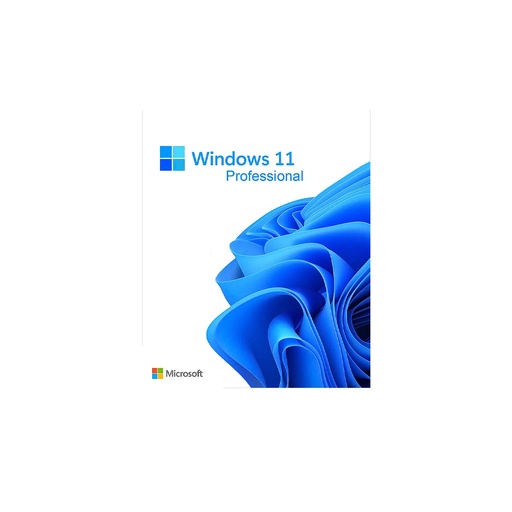 [FQC-10553] SOFTWARE MICROSOFT FQC-10553 WIN PRO 11 64BIT SPANISH LATAM 1PK DSP OEI DVD