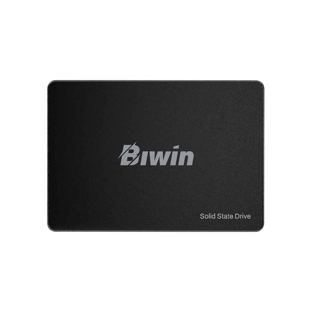 SSD/BIWIN/TECHNOLOGY MAINSTREAM M100 256GB SATAIII 2.5 520MBS