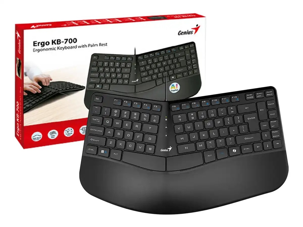 TECLADO GENIUS ERGO KB-700 SP USB Black