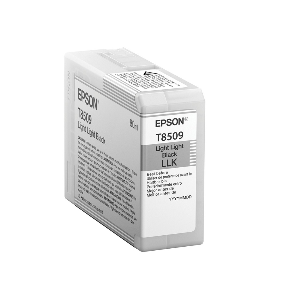 CARTUCHO EPSON T850900