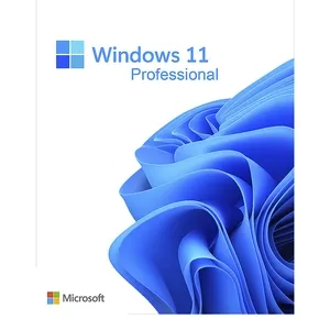 [SOFMSFFQC-10553] WINDOWS 11 PRO 64-BIT EDITION CD-ROM OEM