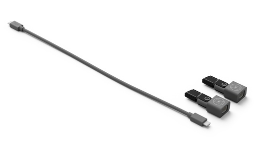 [CABLOG952000181] Cable Logitech Rally MIC POD CAT Coupler