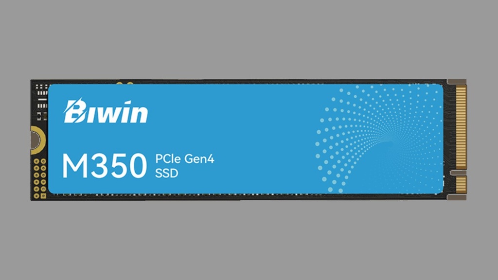 [BM350NN01TB-RGX] SSD BIWIN TECHNOLOGY/M350 1TB PCIE 4.0 M.2 2280 GEN 4 5200/4800MBS
