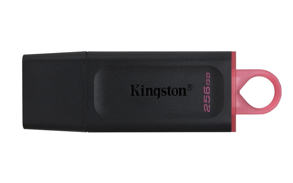 FLASH MEMORY KINGSTON DATA TRAVELE EXODIA DTX 256GB USB 3.2