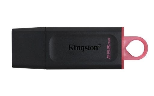 [TS-001428] FLASH MEMORY KINGSTON DATA TRAVELE EXODIA DTX 256GB USB 3.2