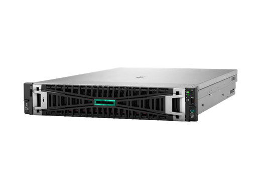 [P89248-DM5] HPE DL380 G12 6505P 1X32G SYST 12LFF HDD SVR