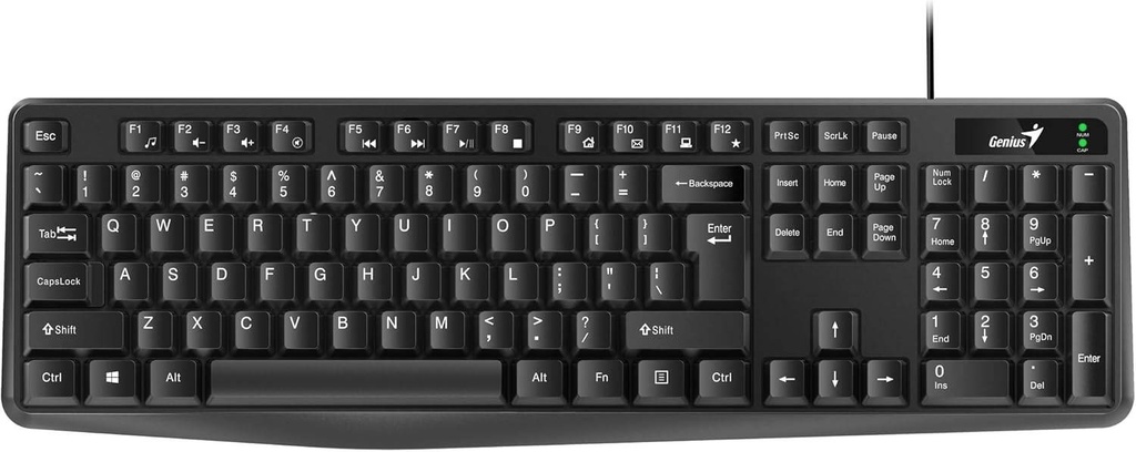 TECLADO GENIUS KB-117 USB NEGRO SP