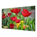 MONITOR DE CCTV 55 PARA TV WALL
